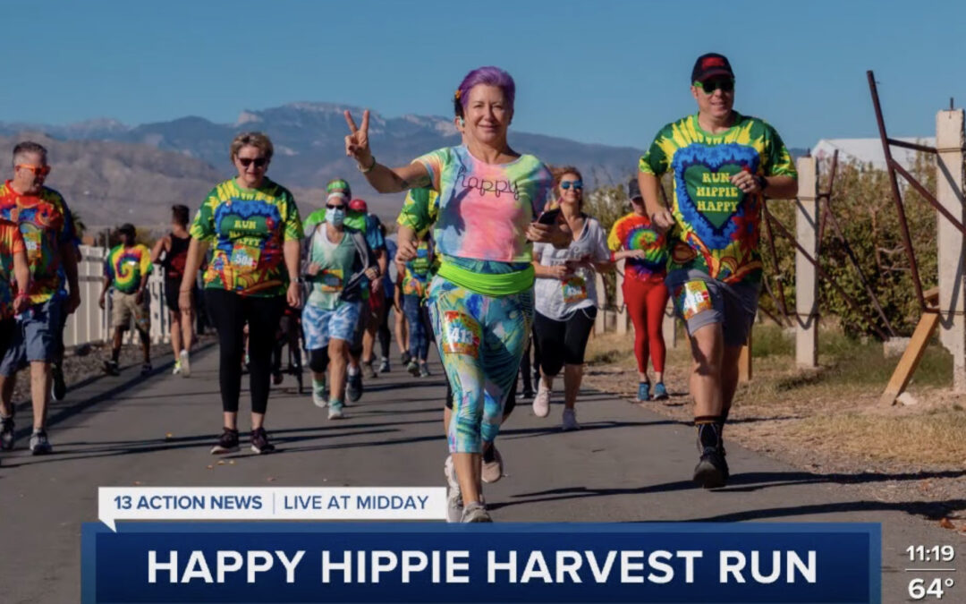 Happy Hippie 2022 Channel 13 TV Appearance